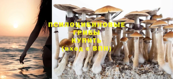 герыч Богородицк