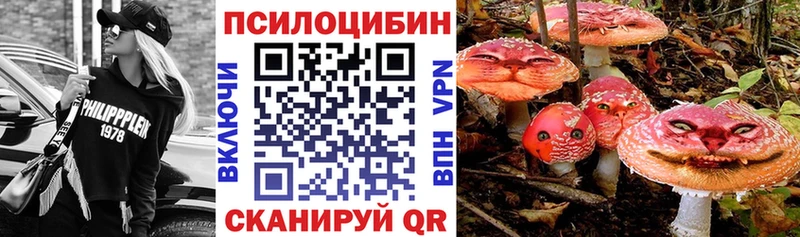 мега зеркало  Гусиноозёрск  Галлюциногенные грибы прущие грибы 